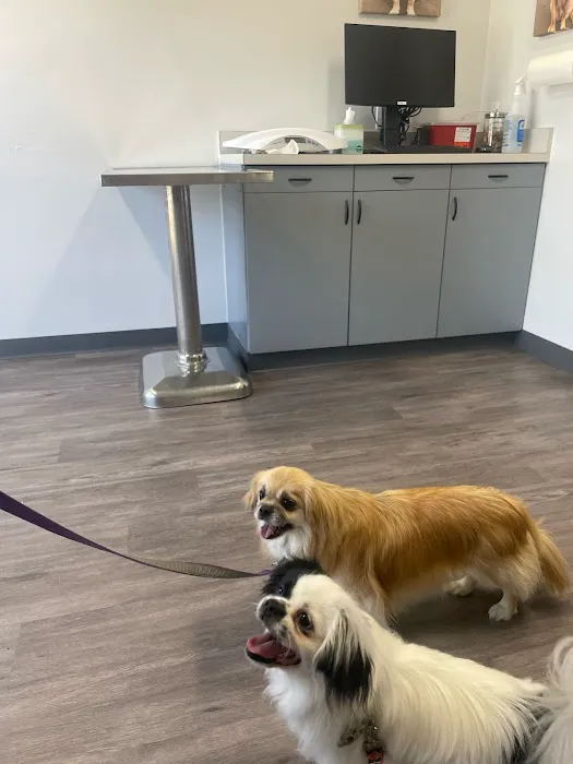 Midlakes Veterinary Hospital 12