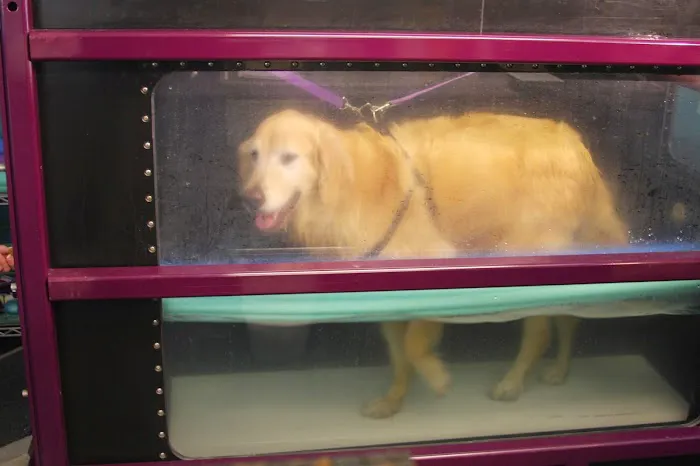 Animal Wellness and Rehabilitation Center 12