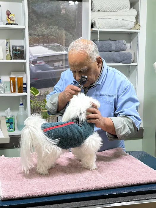 Animal Wellness and Rehabilitation Center 12