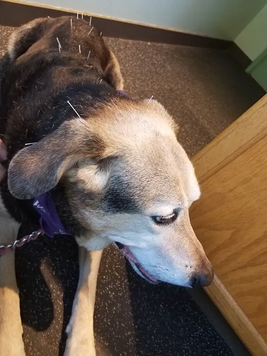 Animal Wellness and Rehabilitation Center 12