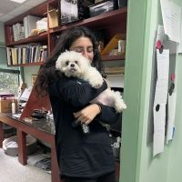 Animal Wellness and Rehabilitation Center ico