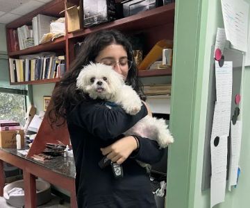 Animal Wellness and Rehabilitation Center