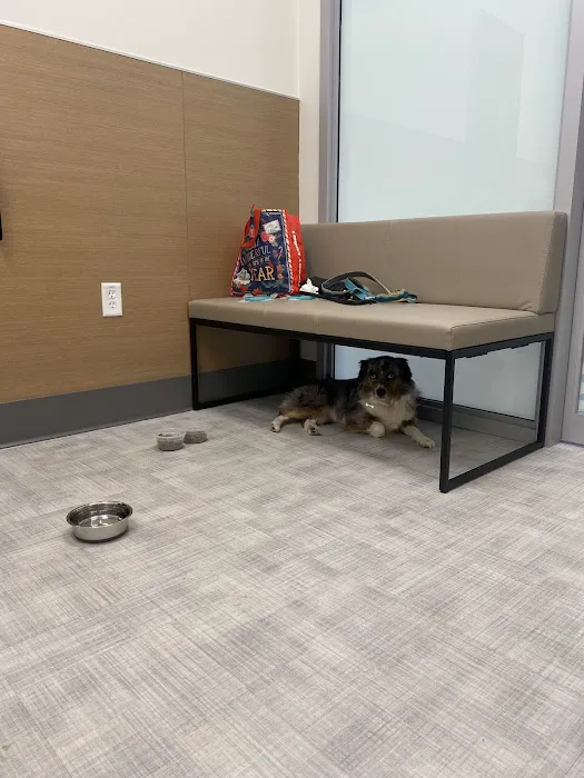 Bellevue Veterinary Emergency & Specialty 12