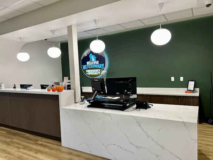 Bellevue Veterinary Emergency & Specialty 12
