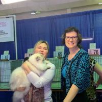 Siberian Blue Cattery ico