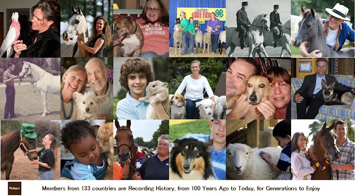 Pedegru - Animal History & Products 6