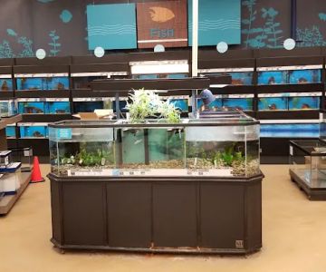 Petco