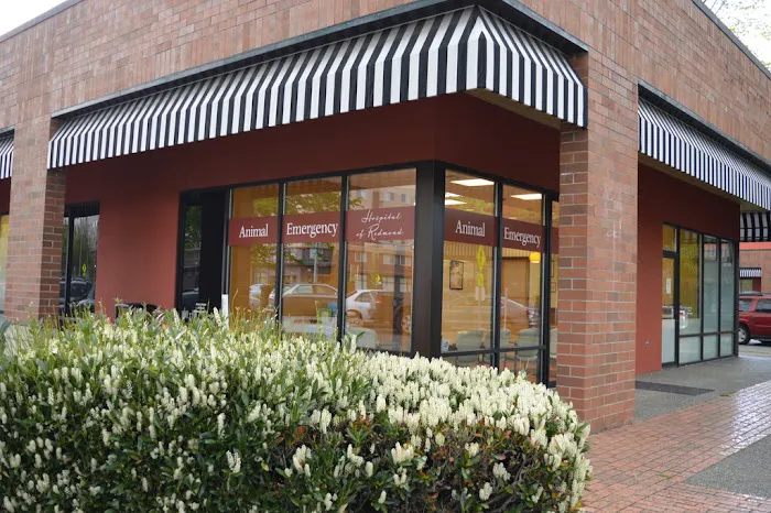 Animal Emergency Hospital of Redmond 12