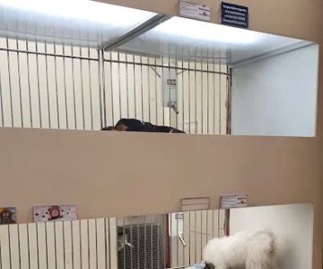 Puppies 'N Love
