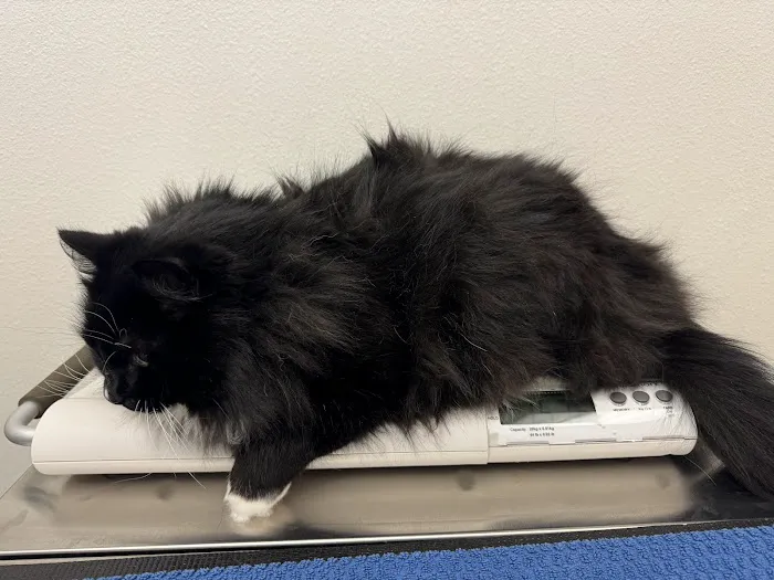Columbia City Veterinary Hospital 12
