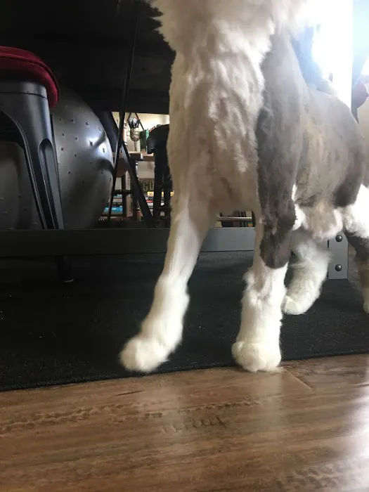 Columbia City Veterinary Hospital 12