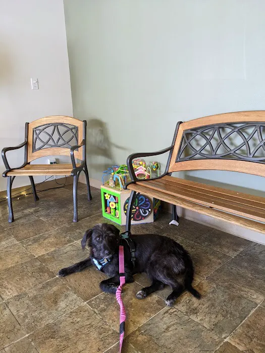 Four Paws Veterinary Center 12