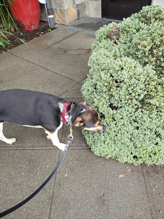 Four Paws Veterinary Center 12