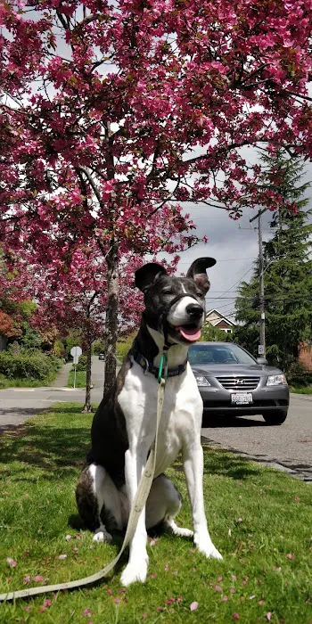 Four Paws Veterinary Center 12