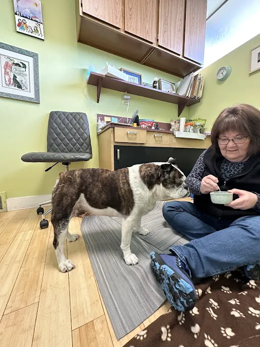 Healing Pets Acupuncture 12