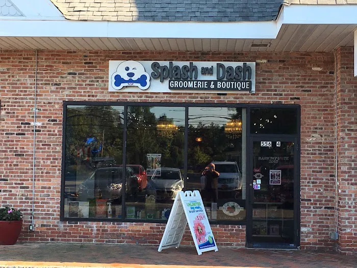 Splash and Dash Groomerie & Boutique 4