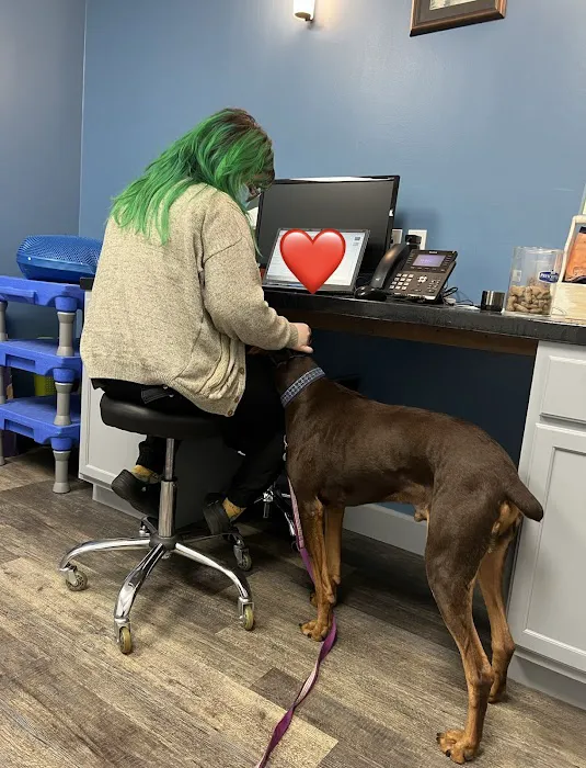 Mercer Island Veterinary Clinic 12