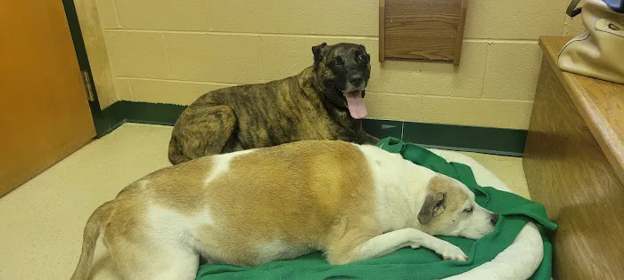 Waxhaw Animal Hospital 4