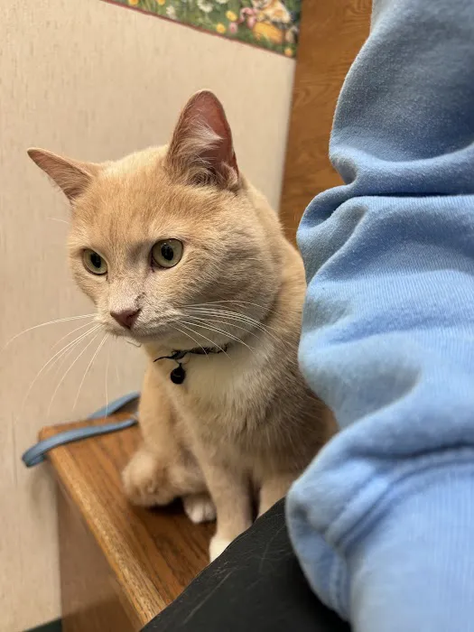 Waxhaw Animal Hospital 6