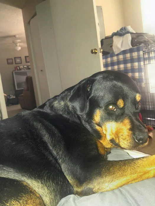 Waxhaw Animal Hospital 9