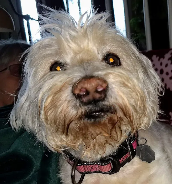Monroe Animal Hospital 2