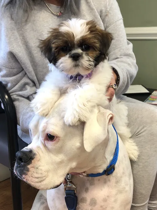 Monroe Animal Hospital 4