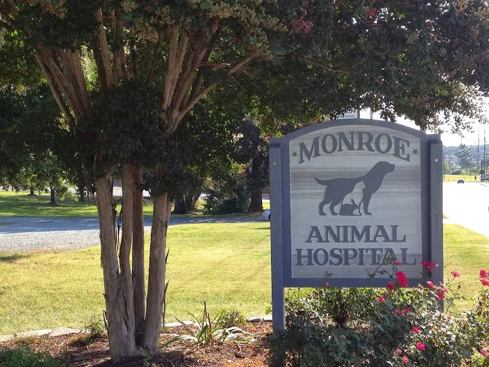 Monroe Animal Hospital 10