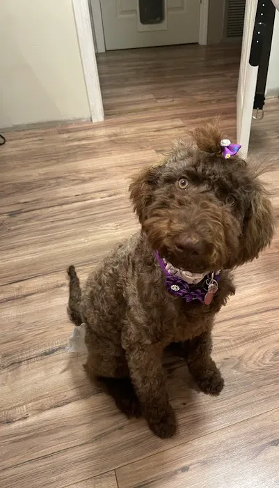 Monroe Animal Hospital 8