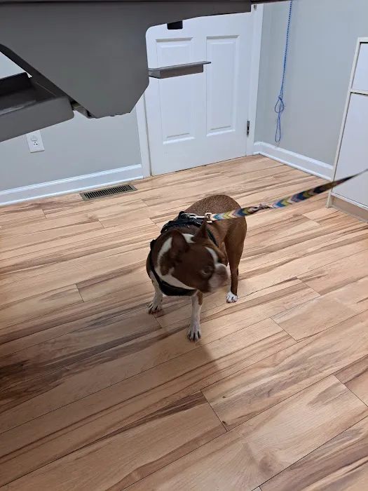 Monroe Animal Hospital 7