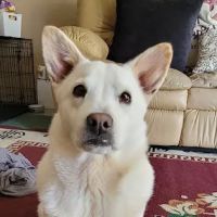 Monroe Low Cost Spay/Neuter Clinic ico