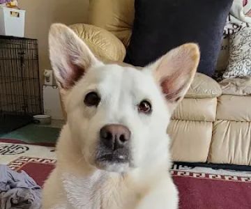 Monroe Low Cost Spay/Neuter Clinic