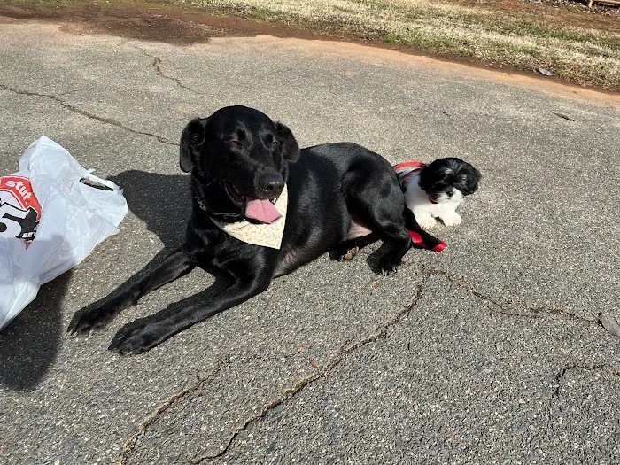 Monroe Low Cost Spay/Neuter Clinic 7