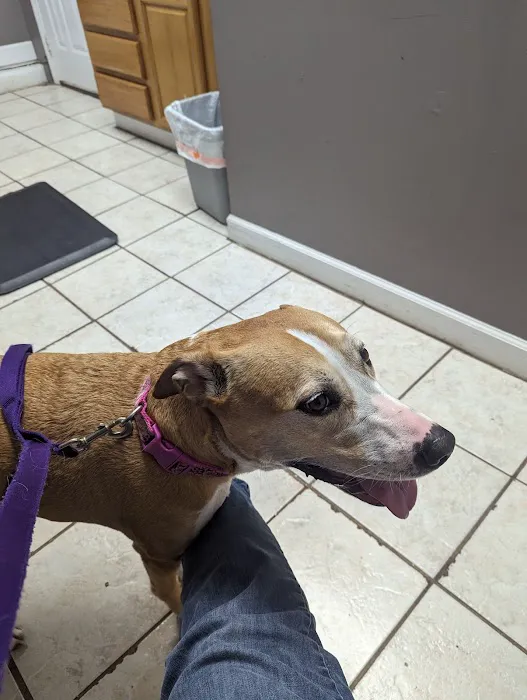 Thompson Animal Hospital 7