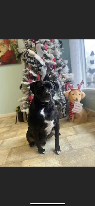 Thompson Animal Hospital 10