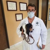 Elmer Phillip DVM ico
