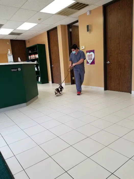 Porter Animal Hospital 5