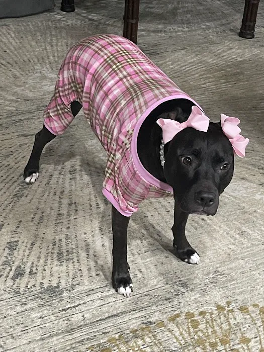 Porter Animal Hospital 7