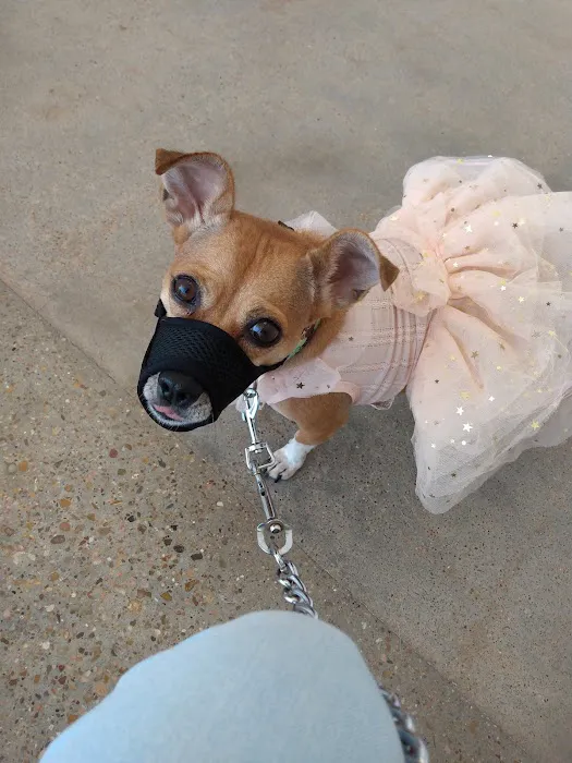 ReadyPet Animal Hospital 12
