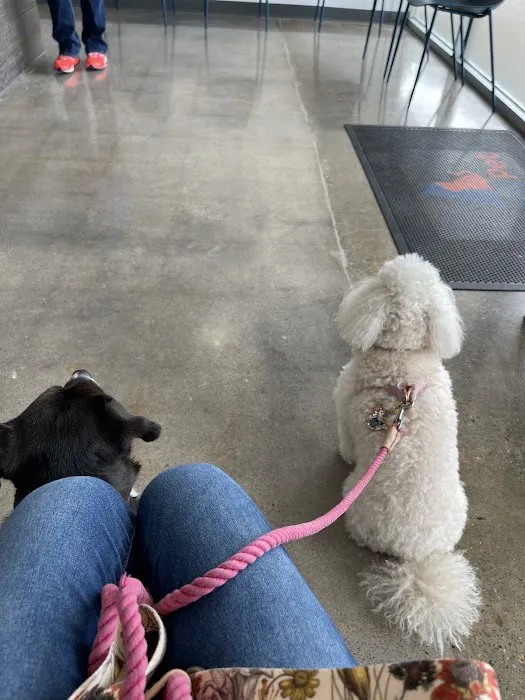 ReadyPet Animal Hospital 12