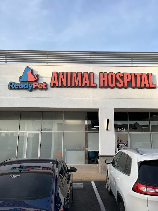 ReadyPet Animal Hospital 12