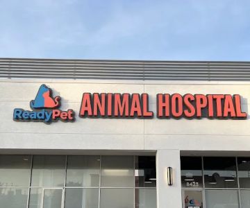 ReadyPet Animal Hospital