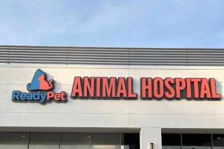 ReadyPet Animal Hospital