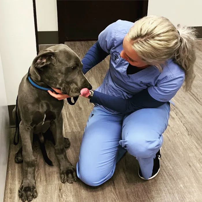 Memorial Veterinary Pet Care Hospital 12