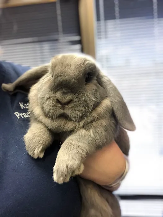 Memorial Veterinary Pet Care Hospital 12