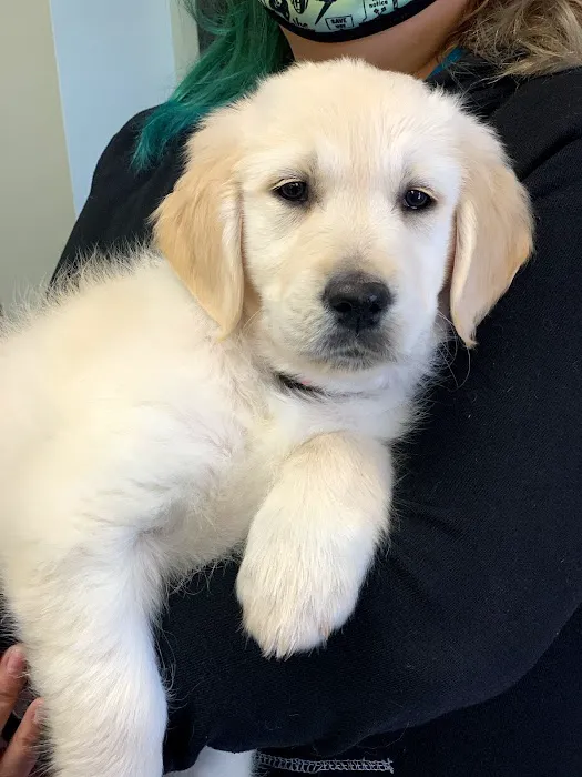 Memorial Veterinary Pet Care Hospital 12