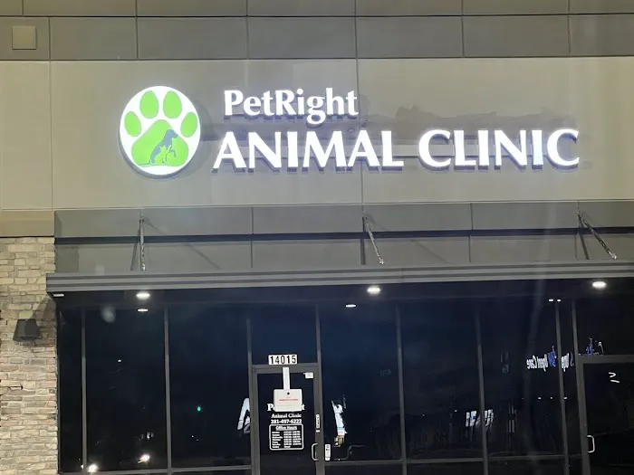 PetRight Animal Clinic 12