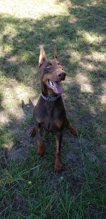 Bear Creek Animal Clinic 3