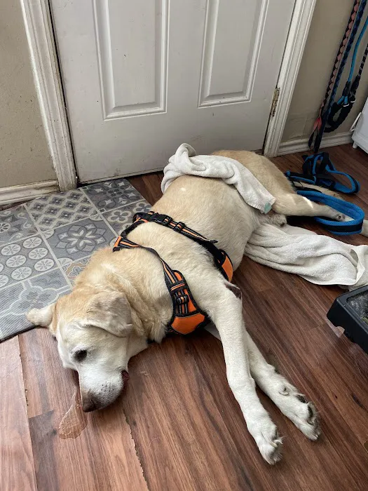 Banfield Pet Hospital 12