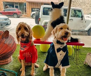 Winston and Friends