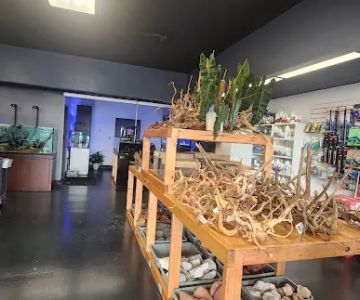 Ozark Aquarium Design